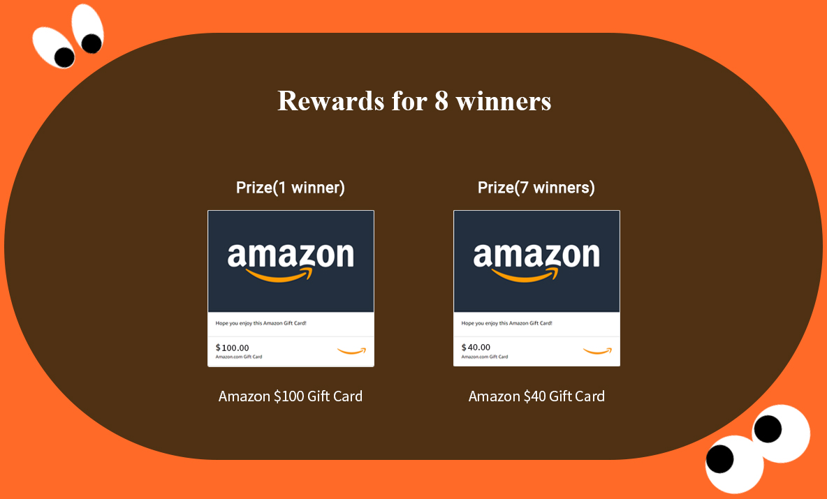 Prize (1 winner)